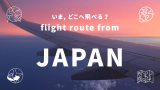 [2024-2026 運航再開＆新規就航] 日本から国際線直行便で行ける海外の国一覧